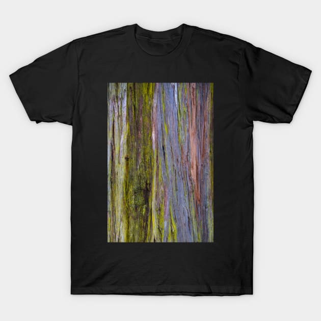 Blackbutt T-Shirt by fotoWerner